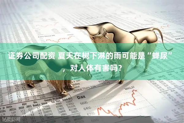 证券公司配资 夏天在树下淋的雨可能是“蝉尿” ，对人体有害吗？